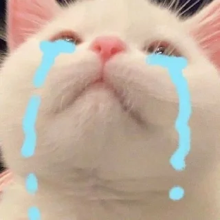 😭 emoji ^kitty.^ Telegram sticker 24 of 30