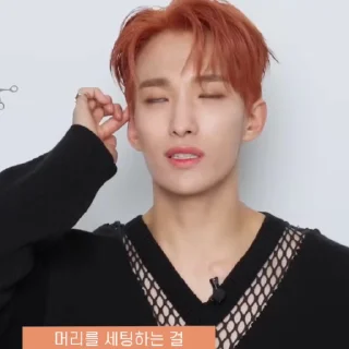 Sticker from 𝐷𝐾 ~ @seventeenstickerss