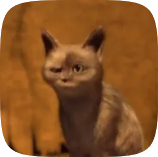 Sticker from 😸Meme