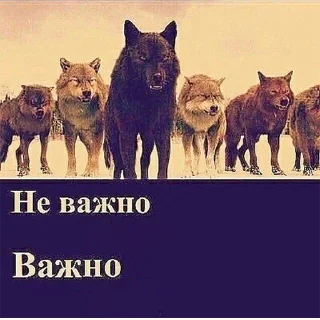😡 emoji От модеров для @alisherhateu Telegram sticker 6 of 117