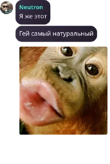 🩴 emoji Тихий Омут [LB/ЗС] pack by @QuotLyBot Telegram sticker 5 of 120