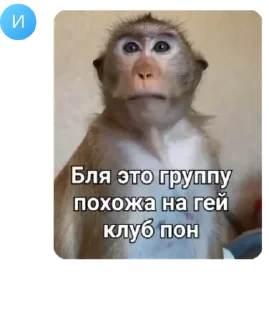 ✌ emoji Пачка кириешек pack by @QuotLyBot Telegram sticker 3 of 32