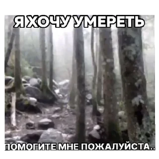 🤍 emoji см3рт1 м3дл3нная@vn9tr1tem @vn9tr1tem0 Telegram sticker 14 of 53
