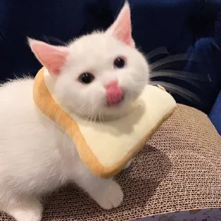🍞 emoji я гуль Telegram sticker 7 of 106