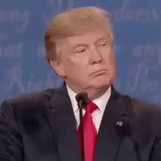 🙂‍↔️ emoji Donald Trump Telegram sticker 17 of 35