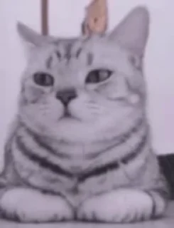 🙂 emoji @hey_893 kotiki 😻 cats Telegram sticker 6 of 109