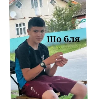 🪑 emoji Тарасік Telegram sticker 6 of 34