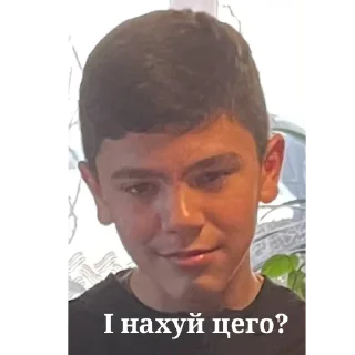 🤳 emoji Тарасік Telegram sticker 23 of 34