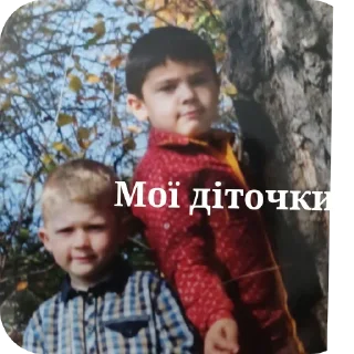 🍖 emoji Тарасік Telegram sticker 8 of 34