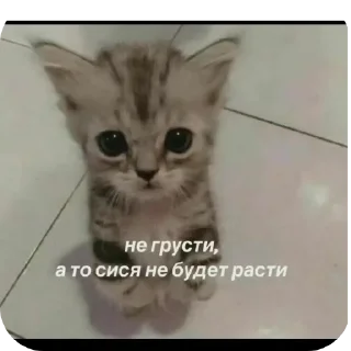Sticker from Для ебланчиков)➡️ @Ctikerubot
