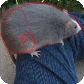 🐀 emoji А ты че Telegram sticker 17 of 99