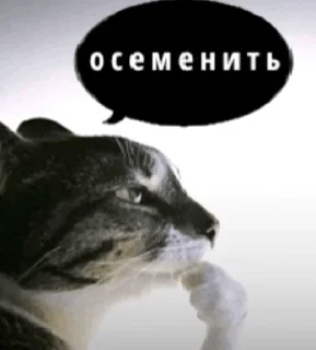 Sticker from а че