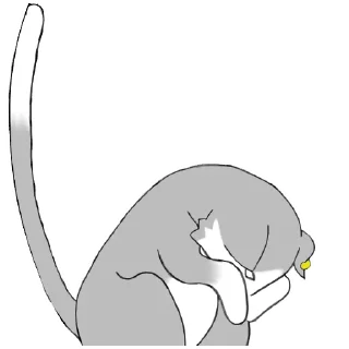 Sticker from Пак