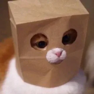 😶 emoji Жирная шаурма Telegram sticker 8 of 104
