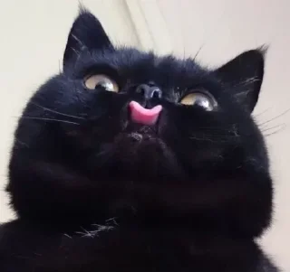 😛 emoji Жирная шаурма Telegram sticker 15 of 104