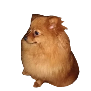 😐 emoji Шаурма Telegram sticker 18 of 48