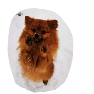 👏 emoji Шаурма Telegram sticker 15 of 48