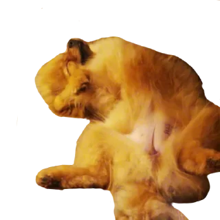 Sticker from Шаурма