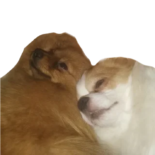 💕 emoji Шаурма Telegram sticker 17 of 48