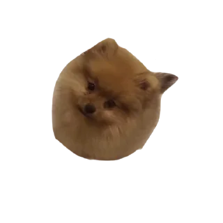 🙂 emoji Шаурма Telegram sticker 8 of 48