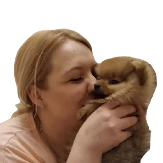 ❤️ emoji Шаурма Telegram sticker 24 of 48