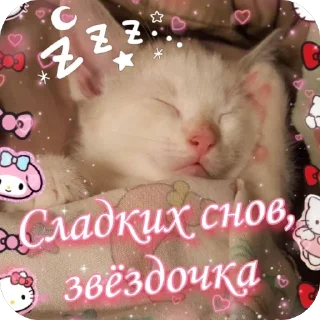 🐱 emoji От Саши ду-сн🌅🌃 Telegram sticker 14 of 18