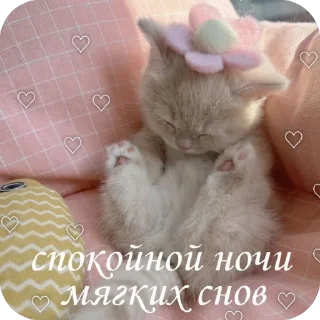 😴 emoji От Саши ду-сн🌅🌃 Telegram sticker 13 of 18