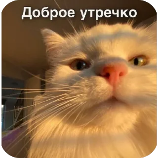 💋 emoji От Саши ду-сн🌅🌃 Telegram sticker 18 of 18