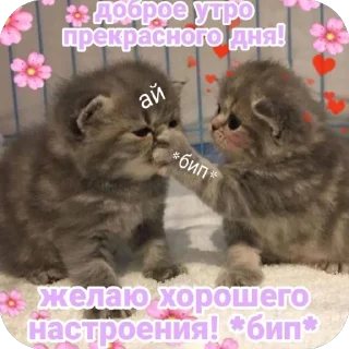 ❤ emoji От Саши ду-сн🌅🌃 Telegram sticker 11 of 18