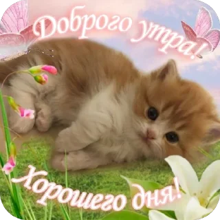 🌷 emoji От Саши ду-сн🌅🌃 Telegram sticker 17 of 18