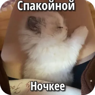 ❤ emoji От Саши ду-сн🌅🌃 Telegram sticker 5 of 18