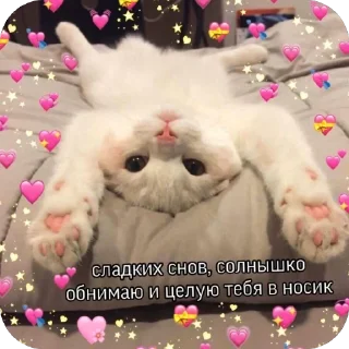 🫥 emoji От Саши ду-сн🌅🌃 Telegram sticker 12 of 18