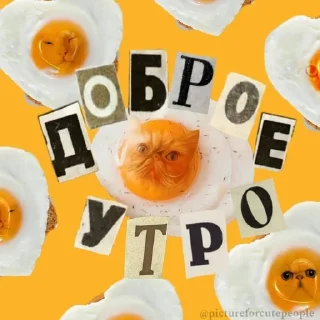 Sticker from тшш котики спят