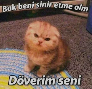 Sticker from Leyla))