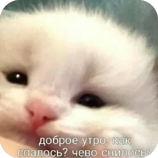 🫥 emoji Добр утр спк ночи!<3 Telegram sticker 22 of 30