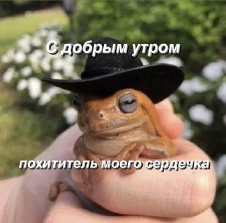 Sticker from Доброе утро˙˚ʚ(´◡`)ɞ˚˙