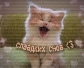💤 emoji Добр утр спк ночи!<3 Telegram sticker 12 of 30