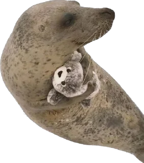 🤗 emoji Silly seal Telegram sticker 16 of 33