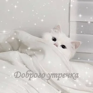 ☀️ emoji Добр утр спк ночи!<3 Telegram sticker 17 of 30