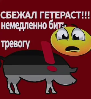 😃 emoji Кто ищет смысл? Telegram sticker 10 of 50