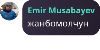 Sticker from Ирис мяу мяу pack by @QuotLyBot