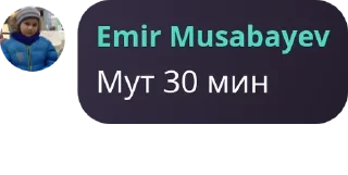Sticker from Ирис мяу мяу pack by @QuotLyBot