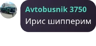Sticker from Ирис мяу мяу pack by @QuotLyBot
