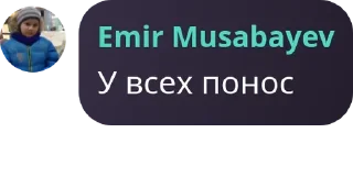🧑‍🦼 emoji Ирис мяу мяу pack by @QuotLyBot Telegram sticker 7 of 120