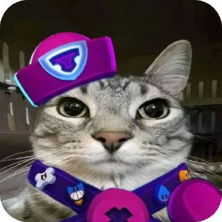 🐱 emoji Кошки правят миром Вобла (feat. Мина) Telegram sticker 6 of 30
