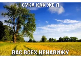 ❤️‍🩹 emoji убейте меня Telegram sticker 6 of 108