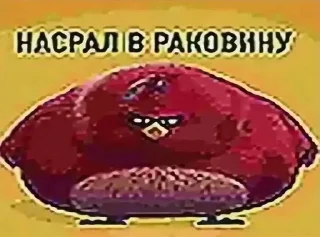 Sticker from Офигенный стикер пак 100/100