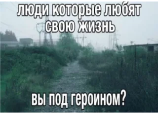 Sticker from убейте меня