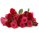 Sticker from Цветы