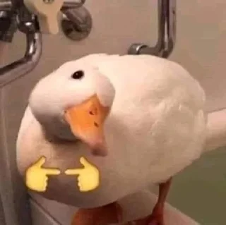 🦆 emoji 🪿🦆 Telegram sticker 11 of 120
